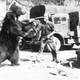 Illustration for article titled The Incredible Story of Wojtek, the Soldier Bear